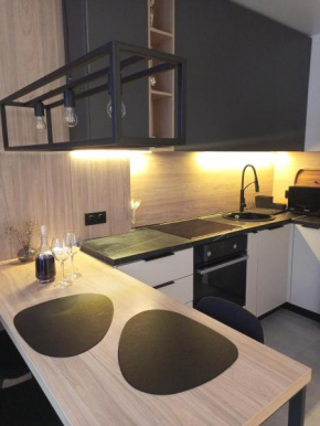 New loft style apartment